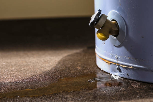 Best Ceiling water damage repair  in Lehighton, PA