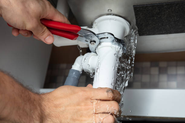 Best Sewage cleanup and water damage restoration  in Lehighton, PA