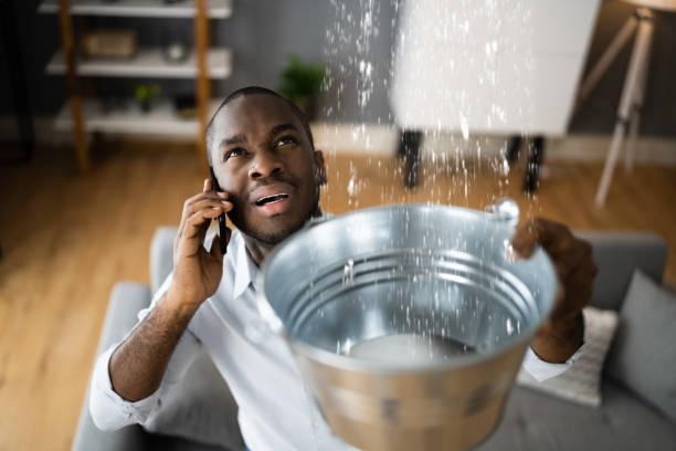 Best Water damage restoration cost  in Lehighton, PA