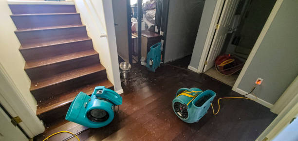Best Emergency water extraction  in Lehighton, PA