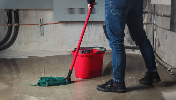 Best Flood restoration services  in Lehighton, PA