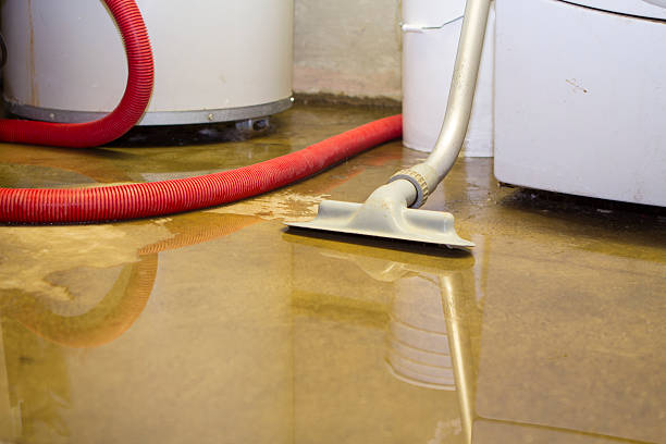 Best Residential water damage restoration  in Lehighton, PA