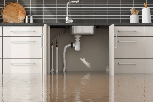 Best Water damage cleanup near me  in Lehighton, PA