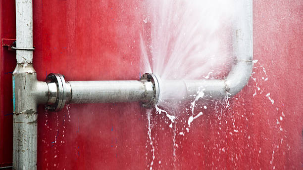 Best Local water damage restoration  in Lehighton, PA