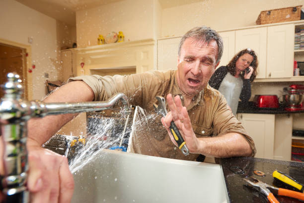 Best Carpet water damage restoration  in Lehighton, PA